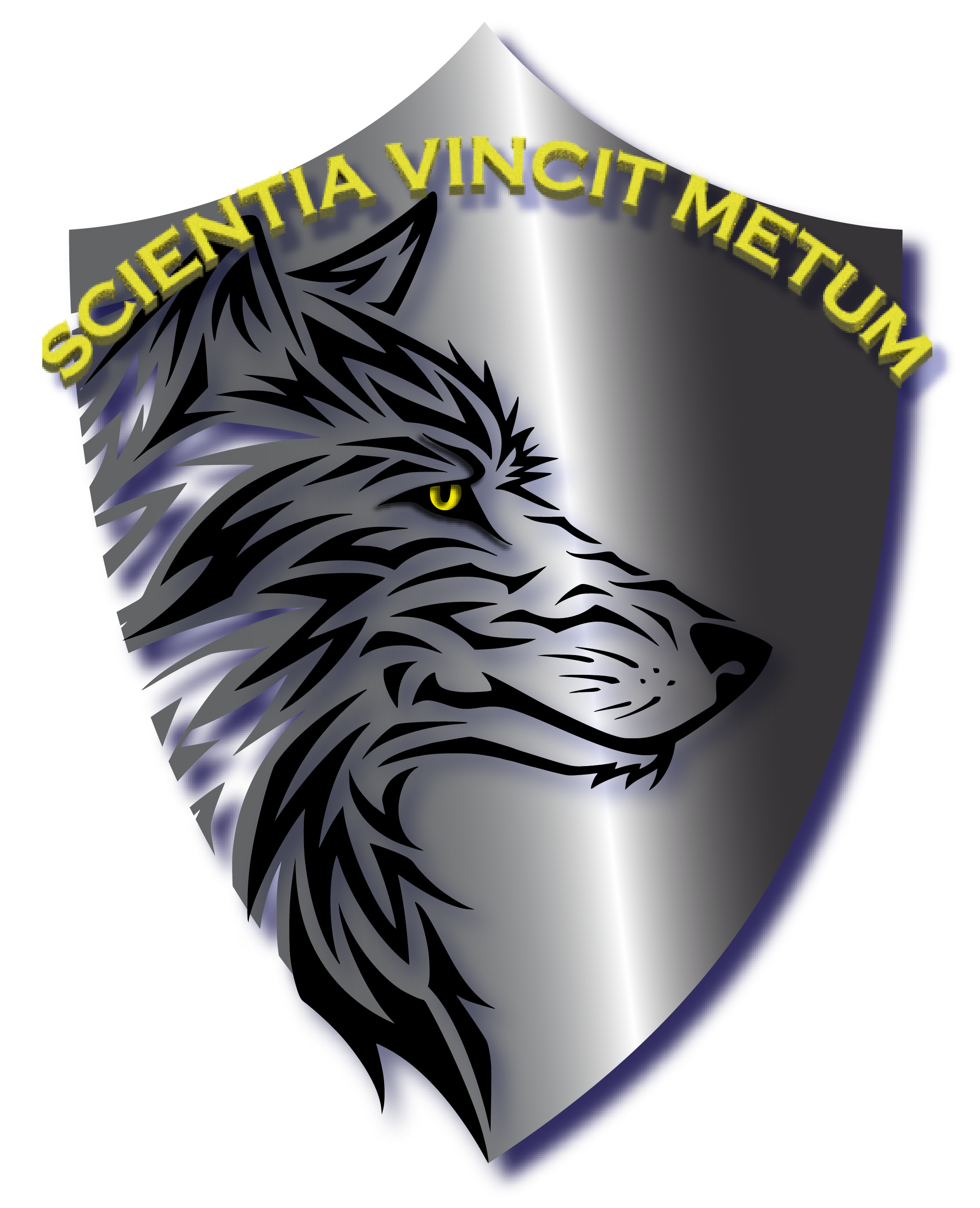 Paladin Academy logo